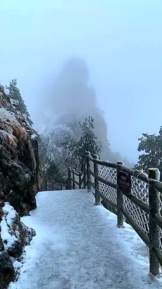 网红打卡地,这些真相你要知道!