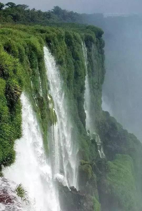 逃离绿色山谷