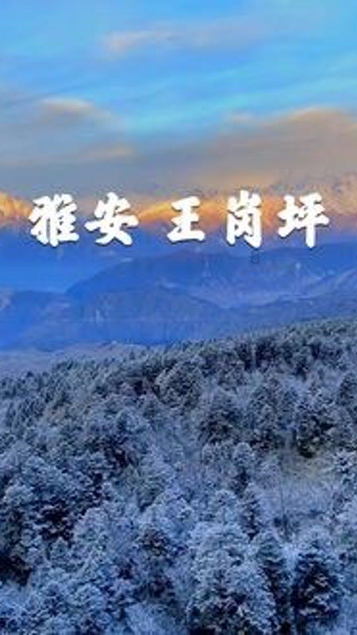 淘天公布一批百亿产业带名单 “赢家”金华拥百亿产业带最多