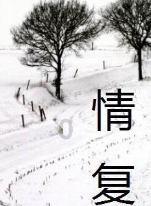 孤岛危机2