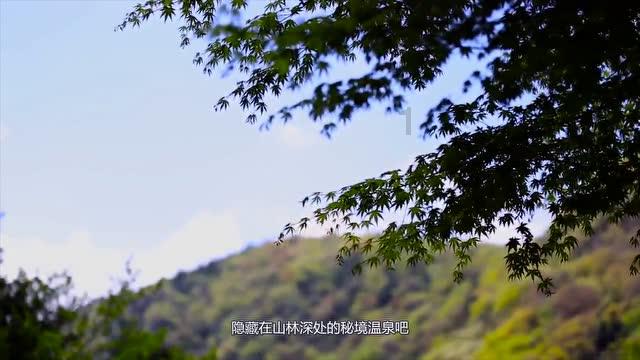 演员张瑜:我习惯了一个人生活了,不想再找了