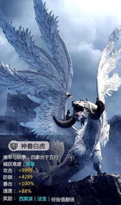 通讯｜“龙圆丝路梦，福满地球村”——沙特孔子学院首次举办春节文化活动