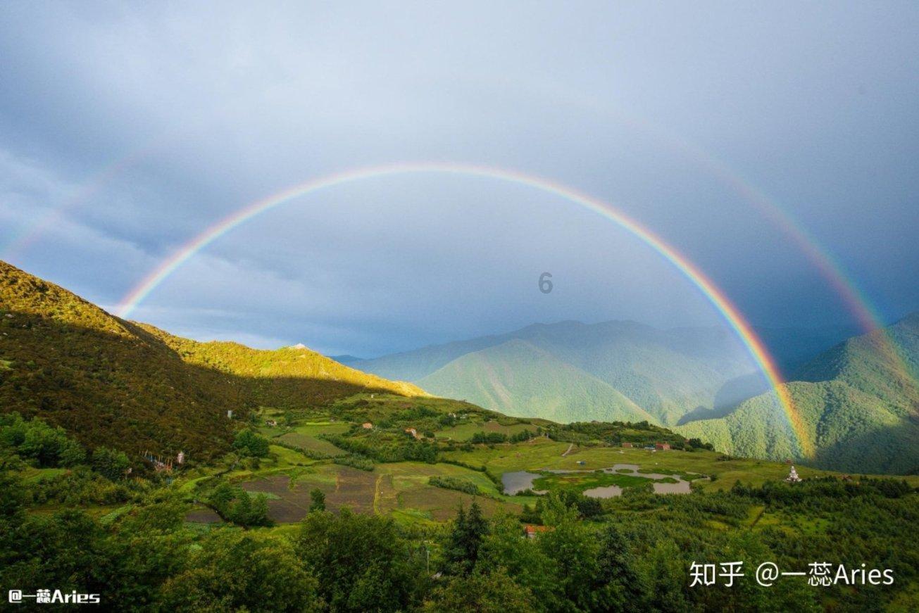 虫虫助手下载