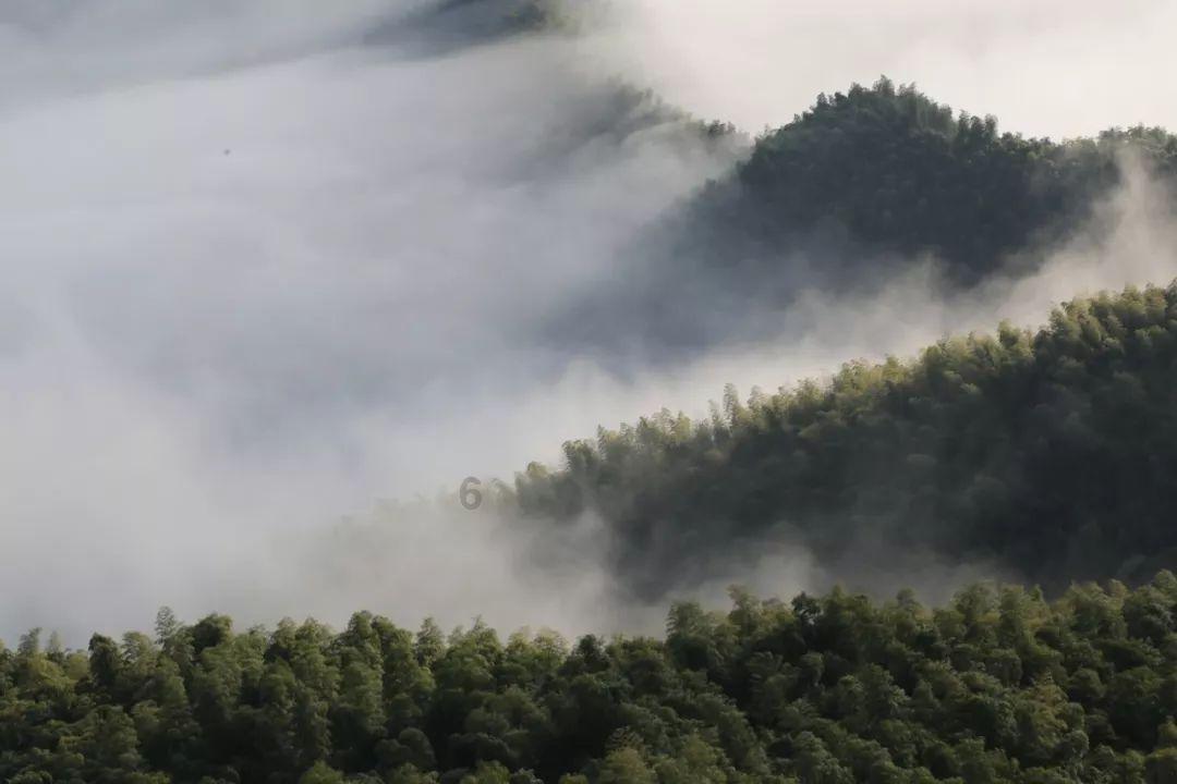 豫论场｜防患于未“燃”，要从日常细节抓起