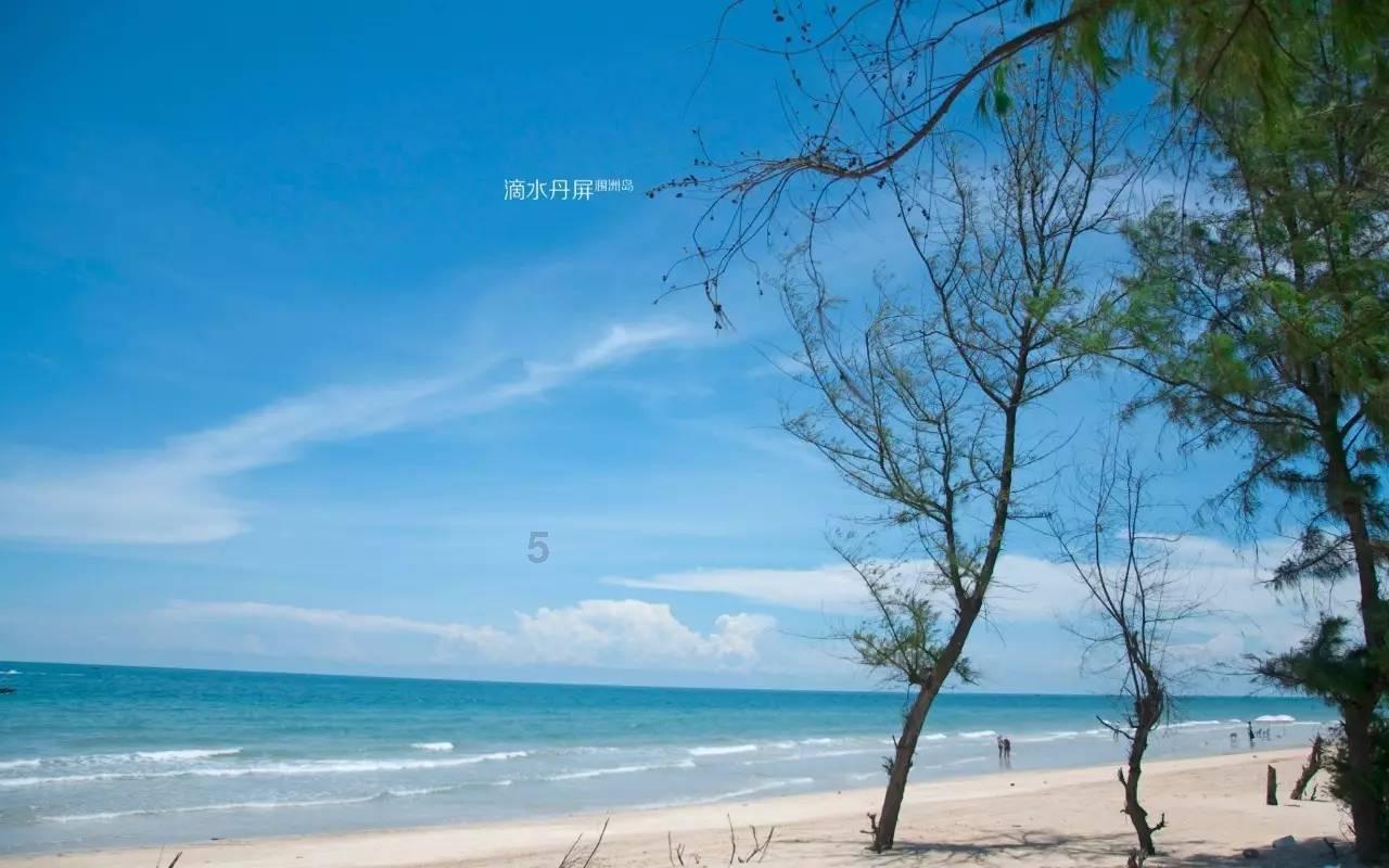 诺曼底44