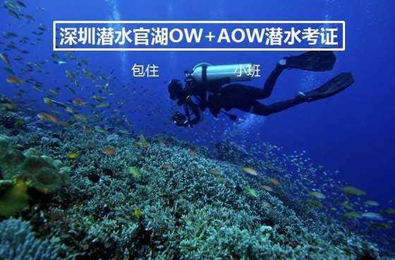 谈及市值管理纳入央企考核,中国电信:积极探索和研究中