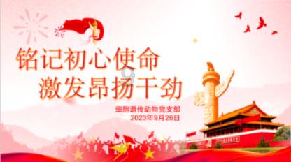 公主的成人礼