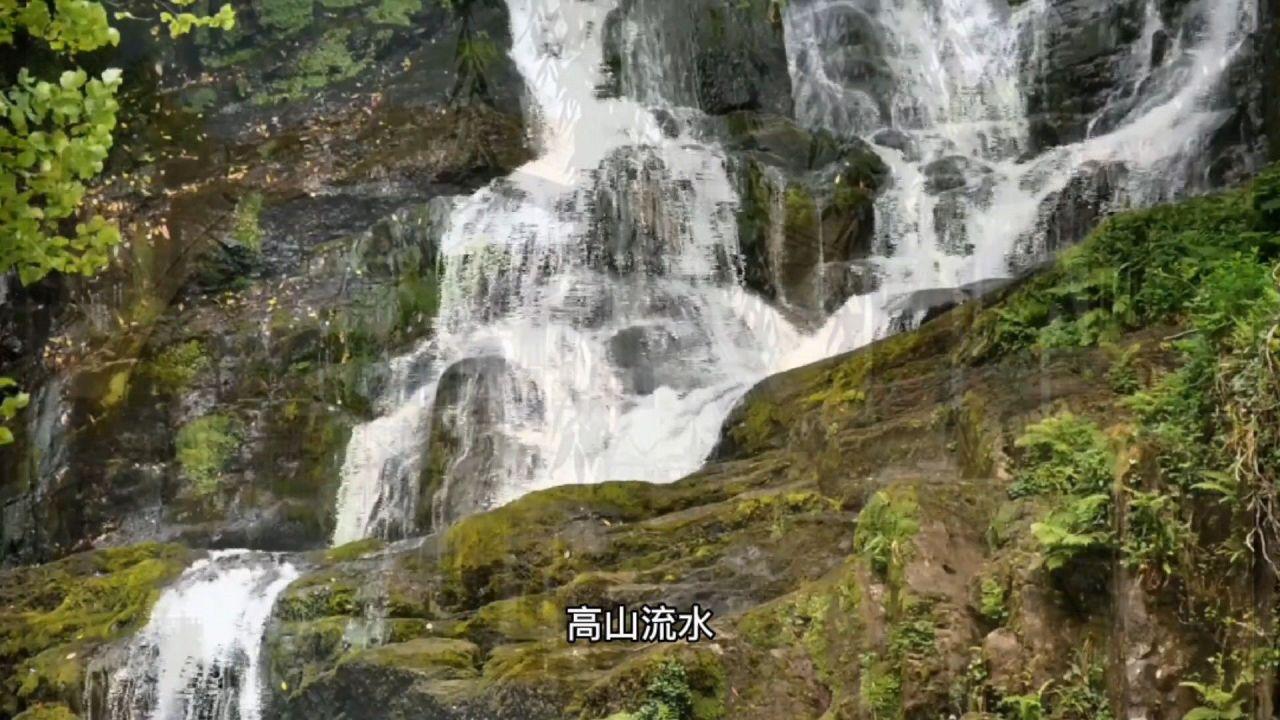 我区举行春运首日交通安全宣传服务活动