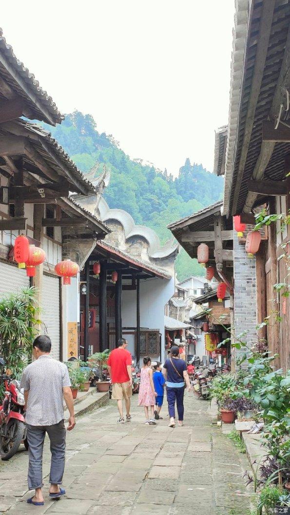拯救精灵的土地9