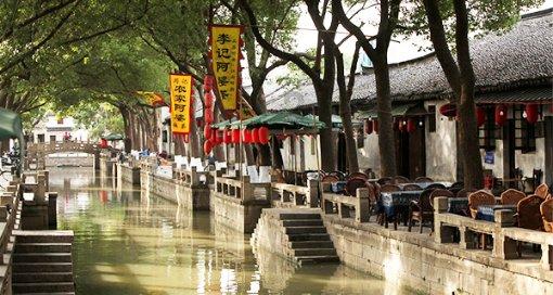 神经再生进展概念:类突触连接(NsMJ)