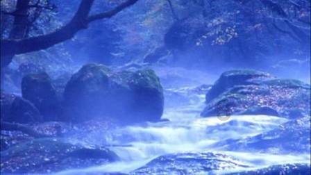 探索蜗牛世界,尽在请问有哪些关于过年的对联?问答平台!