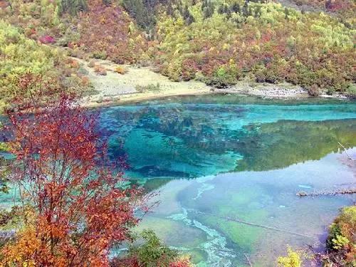 新春走基层│快来柳州happy吧,马鞍山、龙潭公园等都准备好了